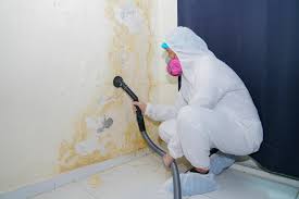 Best Mold Removal for HVAC Installations  in Hawarden, IA